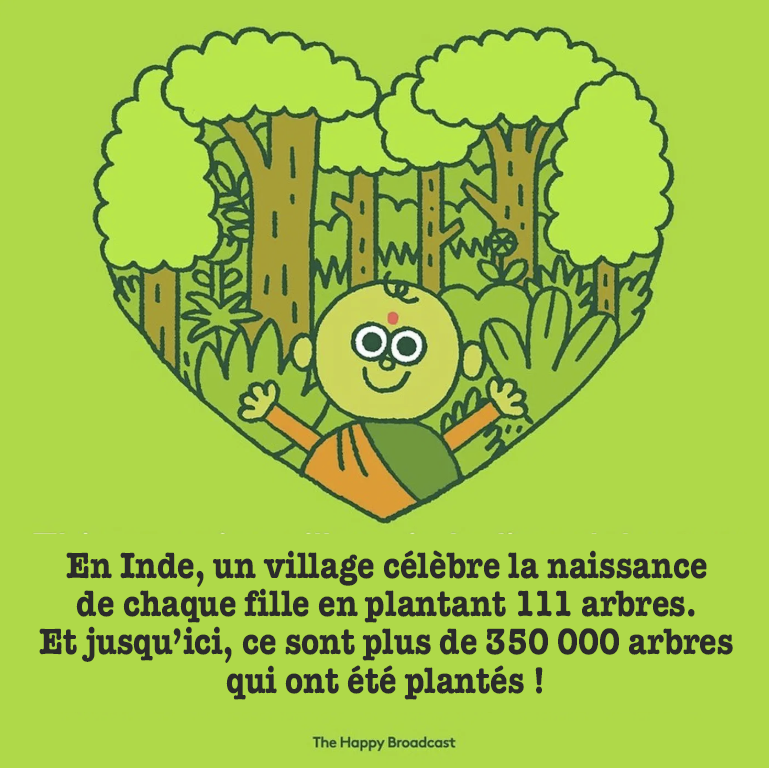 5-InfoEcolo